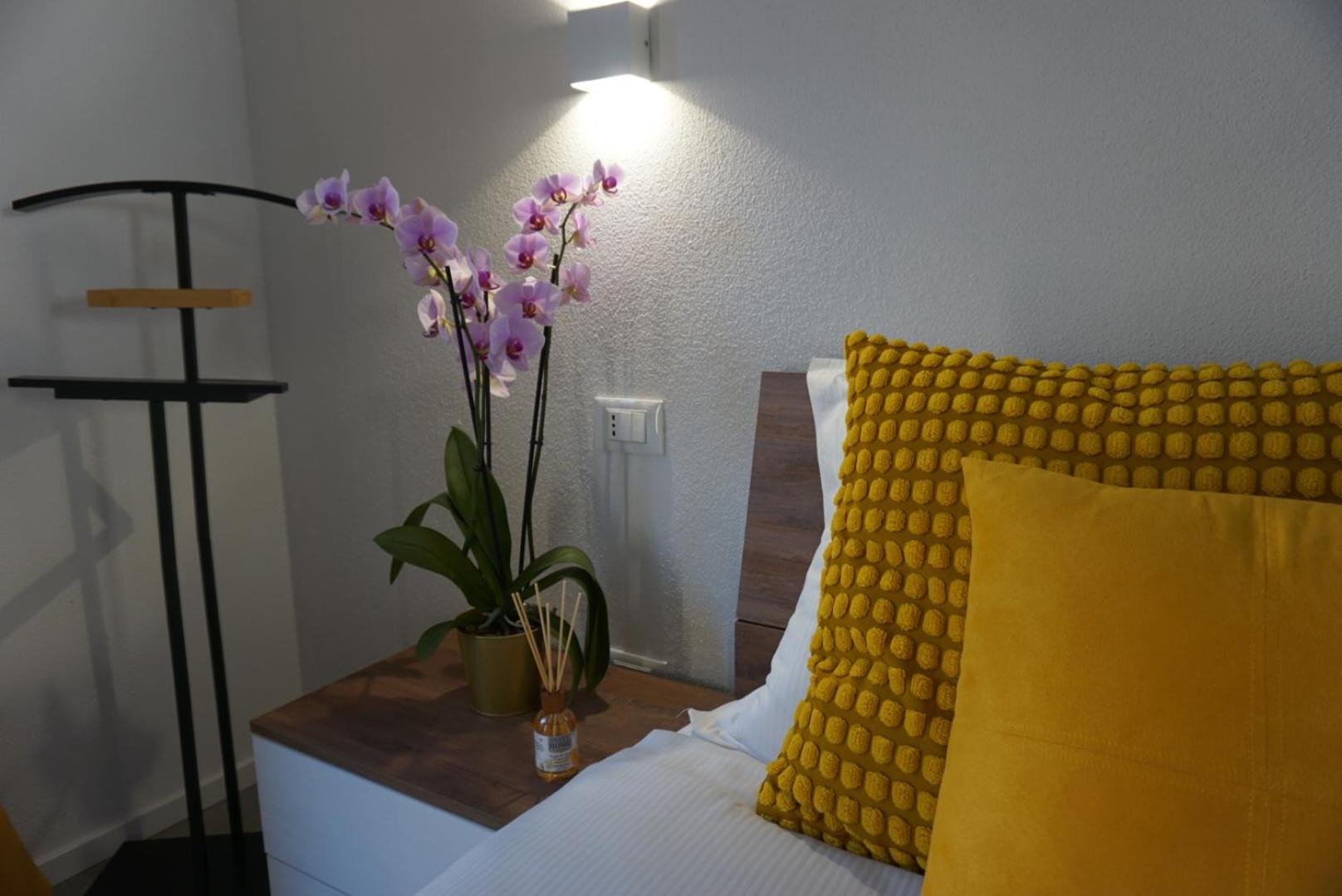 Elisa Apartments B - In Front Of The Walls Of Lucca Exterior foto